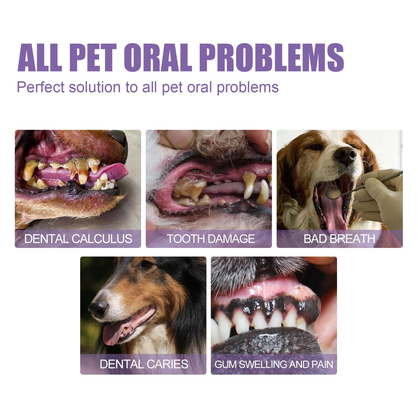 🐕Kúpte 1, 1 dostanete zadarmo🐱 Gél na ústnu hygienu pre domáce zvieratá🌈